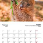 Text: Februar 2027. „Knurrender Magen?“ Quokkas sind fröhlich trotz Nahrungsengpass. Ein Quokka hält Zweige, lächelt fröhlich.