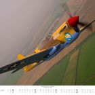 Text: "JANUAR"; "Lope's Hope". Ein Flugzeug wie aus dem Zweiten Weltkrieg fliegt über eine Landschaft mit Feldern.