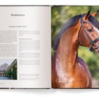 Text: „Bonhomme. The Home of Noble Stallions“. Links: Text über Pferdehaltung. Unten: Foto eines Gebäudes. Rechts: Foto eines edlen braunen Pferdes.