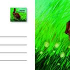 Postkarte mit einem kleinen Logo "Von den Wiesentieren". Illustration eines Hasen im grünen Gras rechts.