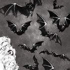 Eine Illustration zeigt mehrere Fledermäuse am Himmel. Unten kauern drei verängstigte Personen unter einer Decke.