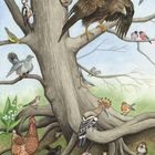 Illustration eines Baumes mit verschiedenen Vögeln, wie Adler, Specht und Eule, auf den Ästen. Am Boden eine Henne.