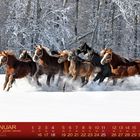 Monatsnamen und Datumszahlen in Deutsch und Englisch. Pferdegalopp im Schnee vor schneebedecktem Waldhintergrund.