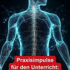 Text: "Praxisimpulse für den Unterricht: Körper & Ernährung". Illustration eines menschlichen Körpers mit sichtbarem Nervensystem.