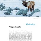 Vorderseite: 5. Januar, Dienstag. Nordre-Isfjorden-Nationalpark, Spitzbergen, Norwegen. Rückseite: Nordre-Isfjorden-Nationalpark.