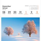 Kalender für Dezember-Januar, KW 53. Winterlandschaft mit drei schneebedeckten Bäumen auf sanften Hügeln unter blauem Himmel.
