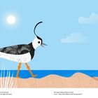 "In a sunny, beach-lined land, walks a lapwing through the sand. He hops along without a care, until—'Hey, wait! What's that thing there?'"

Eine Illustration zeigt einen Kiebitz am Strand.