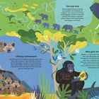 "Matriarchs", "Old and wise", "Lifelong commitment", "Allies give strength". Tiere in farbenfroher, natürlicher Umgebung.