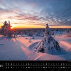Skandinavien, 01. Ein verschneiter Wald bei Sonnenuntergang mit langen Schatten, rosa Licht, und dramatischem Himmel.