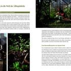Einführung in die Welt der Alltagsküche. Was bedeutet Selbstversorgung im Kleinen? Vom Rasenmähergarten zur eigenen Ernte. Zwei Fotos zeigen eine Person im Garten und Pflanzen im Gewächshaus.