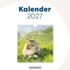 Kalender 2027. „Auf leisen Pfoten“. Eine Katze liegt im grünen Gras mit gelben Blüten. Logo: GRAFIK WERKSTATT.