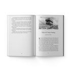Buchcover: "Toxische Lügen in St. Peter-Ording" von Stefanie Schreiber. Sonnenuntergang am Strand mit Pfahlbauten.
