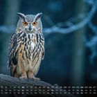 Kalender unten: Zahlen 1-31. Wochentage: Fr-So. Eule mit orangen Augen auf einem Ast, winterliche Umgebung.