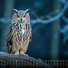Kalender für Januar, Eule auf einem Ast mit Frost umgeben von einer winterlichen Waldszenerie.