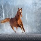 Kalender unten, Januar mit Wochentagen und Daten. Ein braunes Pferd galoppiert über schneebedeckten Boden vor einem winterlichen Wald.