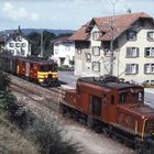 SBB CFF auf rotem Zug neben bräunlicher Lok. Wohnhäuser im Hintergrund, ein See links und Bäume.