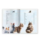 Inhalt: Liste von Katzennamen mit Seitenzahlen. Unten Katzen: getigerte, gefleckte, flauschige. Oben links und rechts kleine Katzen.