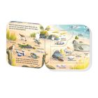 Eine bunte Illustration eines Strandes mit Tieren und Pflanzen; Texte beschreiben Strandläufer, Blaukrabbe, Muscheln und mehr.