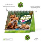 „Süße Tierfreunde 2021“, Kalender mit Ringbindung. Drei junge Füchse sitzen und liegen nebeneinander.