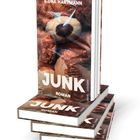 Text: "ILONA HARTMANN", "JUNK", "ROMAN". Buchcover mit einem großen Teddybär in Nahaufnahme.