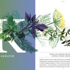 19, KRÄUTER. Basilikum, Dill, Liebstöckel, Majoran, Rosmarin, Schnittlauch, Thymian, Petersilie, Minze. Grüne Kräuterillustration über großem "K".