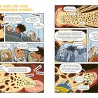 "Das Herz ist eine faszinierende Pumpe!" Viele Dialoge, die das Herz und den Blutfluss humorvoll erklären, mit bunten Illustrationen.