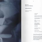 Texte: "Patrick Beurard-Valdoye", "DIMANSION", "Little House [An Allegory]". Links unscharfe, abstrakte blaue Formen.