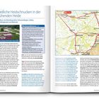 Niedliche Heidschnucken in der blühenden Heide. Rundtour von Rotenburg über Schneverdingen, Soltau, Bad Fallingbostel und Walsrode.