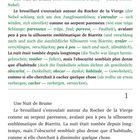 Kapitel 1: Eine nebelige Nacht, in der der Nebel um den Jungfrauenfelsen schwebt. Marc Dupont steht am Strand.