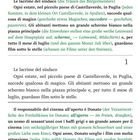 "Le lacrime del sindaco" oben. Ein zweisprachiger Text über ein Sommerkinoereignis in Castellaverde, Italien.
