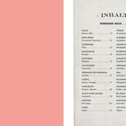 INHALT. WUNDERBARE INSELN. Eine Liste von Inseln mit Seitenzahlen und Ländern, links rosa Fläche.