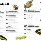 Inhalt: Vorwort, Insekten und Weichtiere mit Unterkategorien, sowie Illustrationen von Insekten und Spinnentieren.