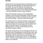 Text: "Teil I – Die hohe Kunst der indirekten Kritik" beschreibt indirekte Kritik im Büroalltag als feine Kunst.