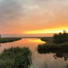 Es ist ein ruhiger Fluss inmitten von Bäumen, mit einem leuchtenden Sonnenuntergang am Horizont, der den Himmel orange färbt.