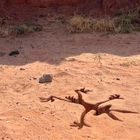 Ein minimalistisches Metallkunstwerk eines stilisierten Geckos in einer trocken-sandigen Wüstenlandschaft mit Pflanzen.