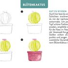 "BLÜTENKAKTUS" und "GUT ZU WISSEN" leiten eine Malanleitung für einen Kaktus in vier Schritten ein.
