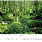 "Birkenwald" oben links, "10" zentral, darunter Zahlen 1-31 für Tage, "CASARES EDITION" unten links. Dicht bewaldeter Wald mit Moos.