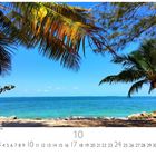 "Sunny beach of Western Florida", "10", "CASARES EDITION". Strand mit Palmen und blauem Himmel am Horizont.