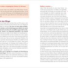 Identifikationsstarke, sinnstiftende Erzählungen  
8.3 Achtsamkeit und Fürsorge im Kita-Alltag leben