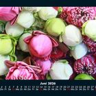 Cover/Product zoom