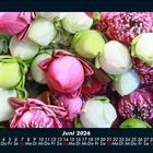 Cover/Product zoom