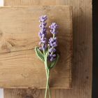 Lila gestrickte Lavendelblüten an einer Holzwand befestigt.