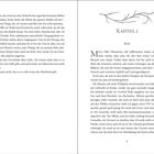 Kapitel 1, Sam. Text über Wölfe und innere Kämpfe, Ort: Mercy Falls, Minnesota. Erzählt von Liebe und Abschied.