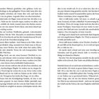 Seite 22 und 23 eines Buches mit Fließtext, keine Bilder. Enthält Erzählungen über Fliegen, Dämonen und eine mysteriöse Welt.