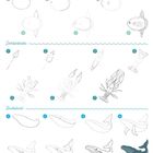 "Mondfisch, Dohlenkrebs, Buckelwal" mit je einer Schritt-für-Schritt-Anleitung zur Zeichnung der Tiere in mehreren Phasen (1-8).