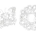 Links "96", rechts "97". Zwei Punkt-zu-Punkt Rätsel. Links ein Schmetterling, rechts eine runde Form sichtbar.