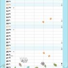 Kalender für Oktober mit Feiertagen. Unten Illustration: Katze genießt tanzende Herbstblätter.