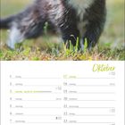 "Oktober" steht oben, darunter ein Kalender. Ein flauschiges Kätzchen sitzt im Gras darüber.