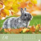 Text: "Okt", gefolgt von einem Kalender. Ein graues Kaninchen sitzt im Gras, umgeben von Herbstblättern.