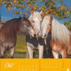 "Okt" und ein Monatskalender sind sichtbar. Drei Pferde stehen eng beisammen vor herbstlichen Bäumen.